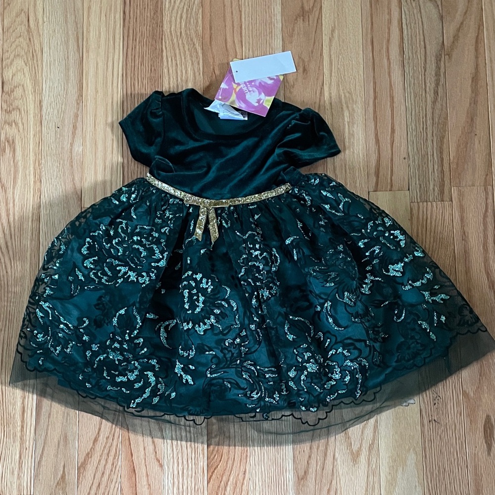 Blueberi Boulevard Velour Metallic Tulle Dress Baby Girl 18M Green Sparkly NWT